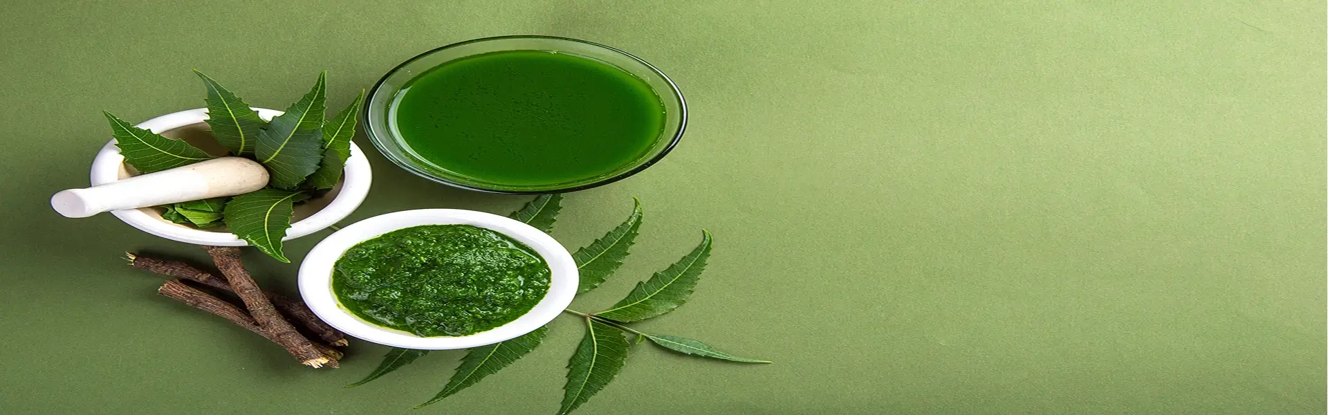 Ayurveda & Yoga Tourism in Kerala