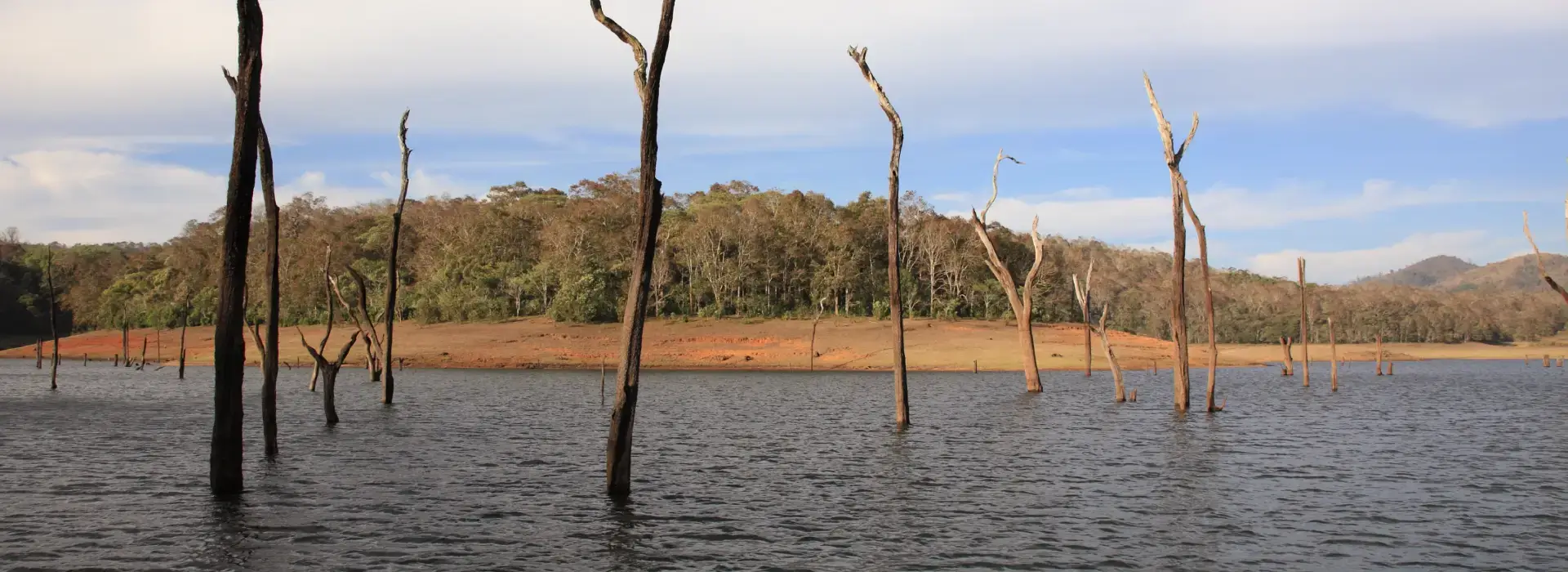 Periyar Tourism Kerala