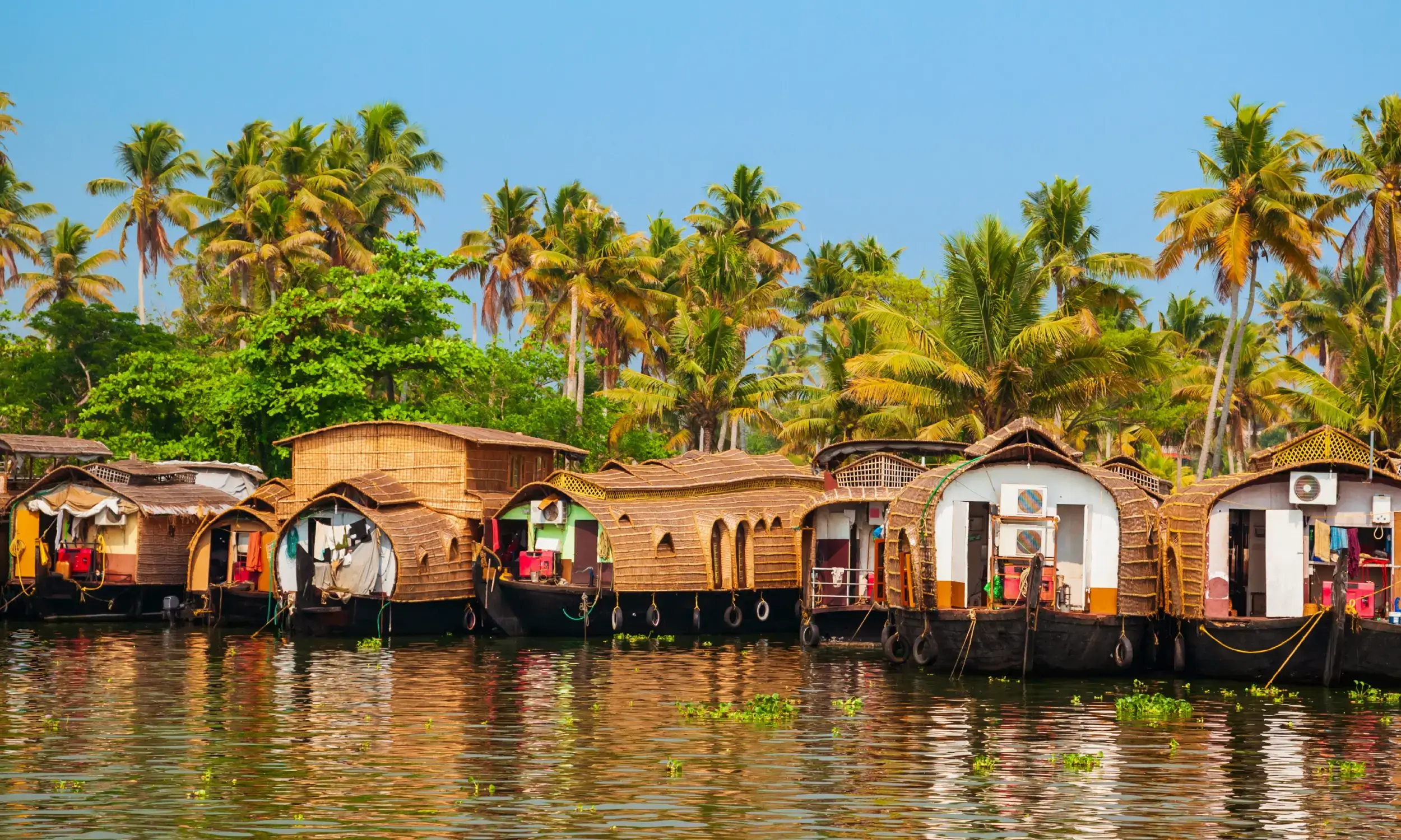 Kerala Winter Getaway- Alleppey