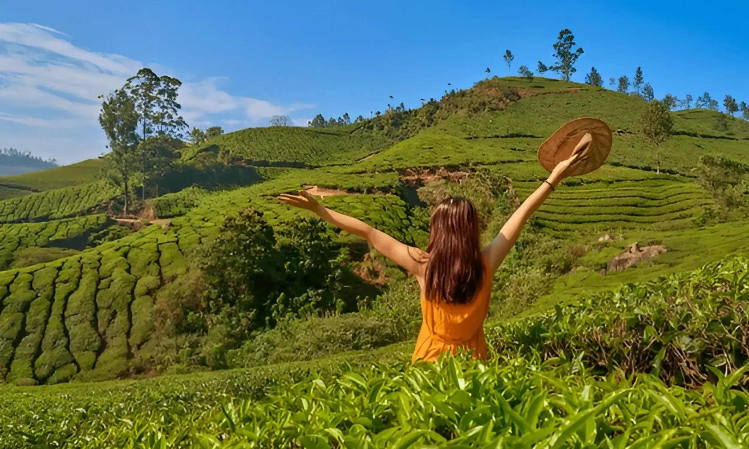 Kerala Tourism - Munnar- Top Destinations in Kerala