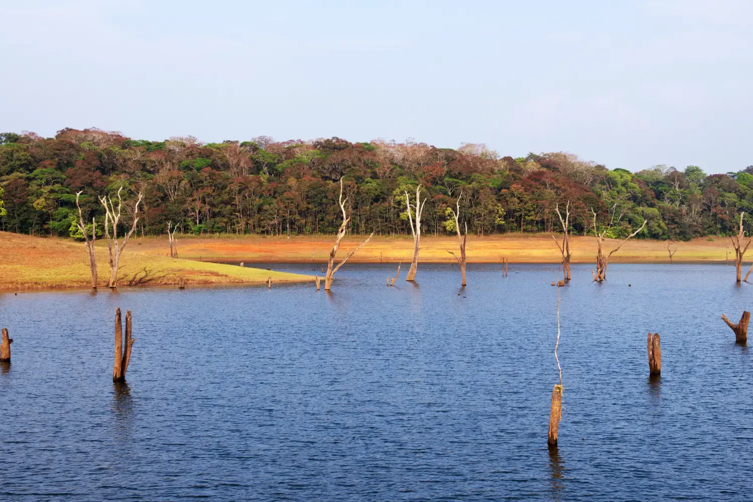 Thekkady-Top Summer Getaway in Kerala