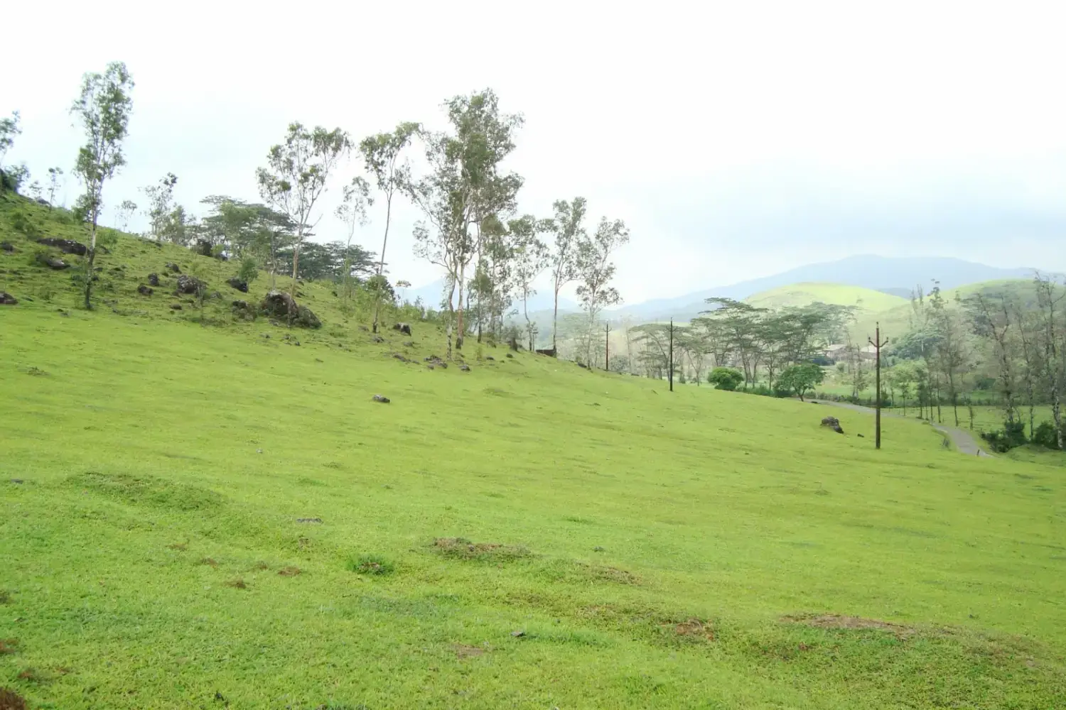 Vegamon- Best Summer Destinations in Kerala