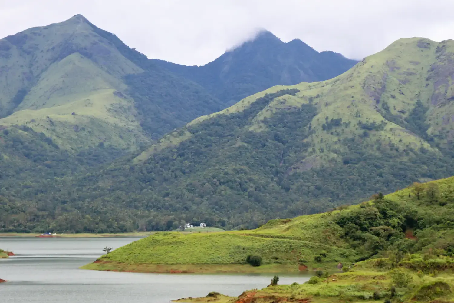 Wayanad-Best Places to Visit in Summer in Kerala