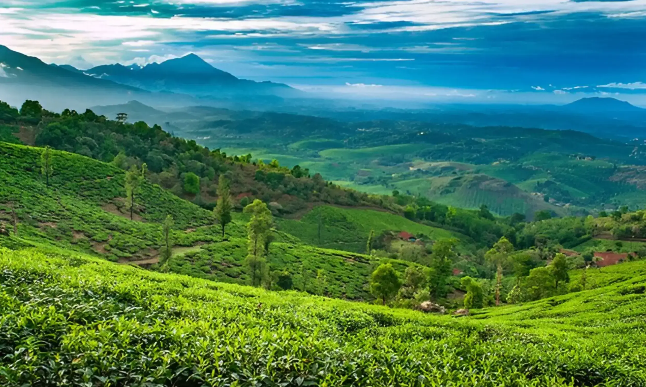Kerala Tourism - Wayanad- Top 10 Places to Visit in Kerala