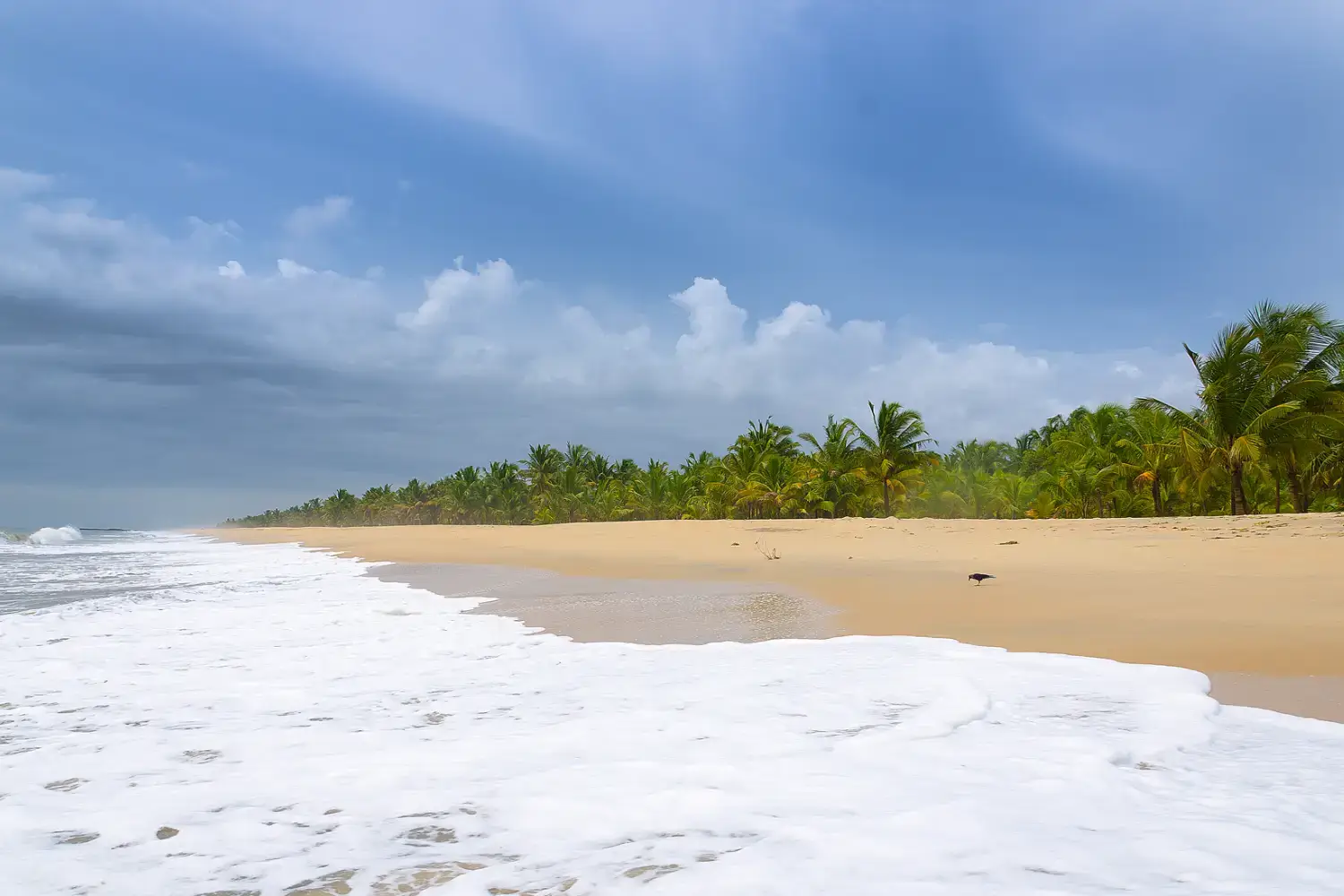 Alleppey Tourism - Marari Beach