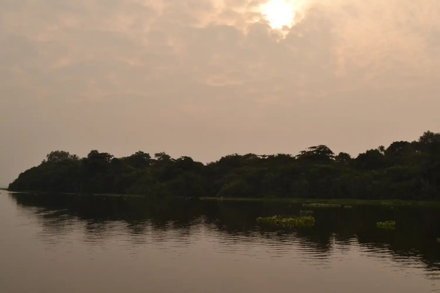 Alleppey Tourism- Pathiramanal Island