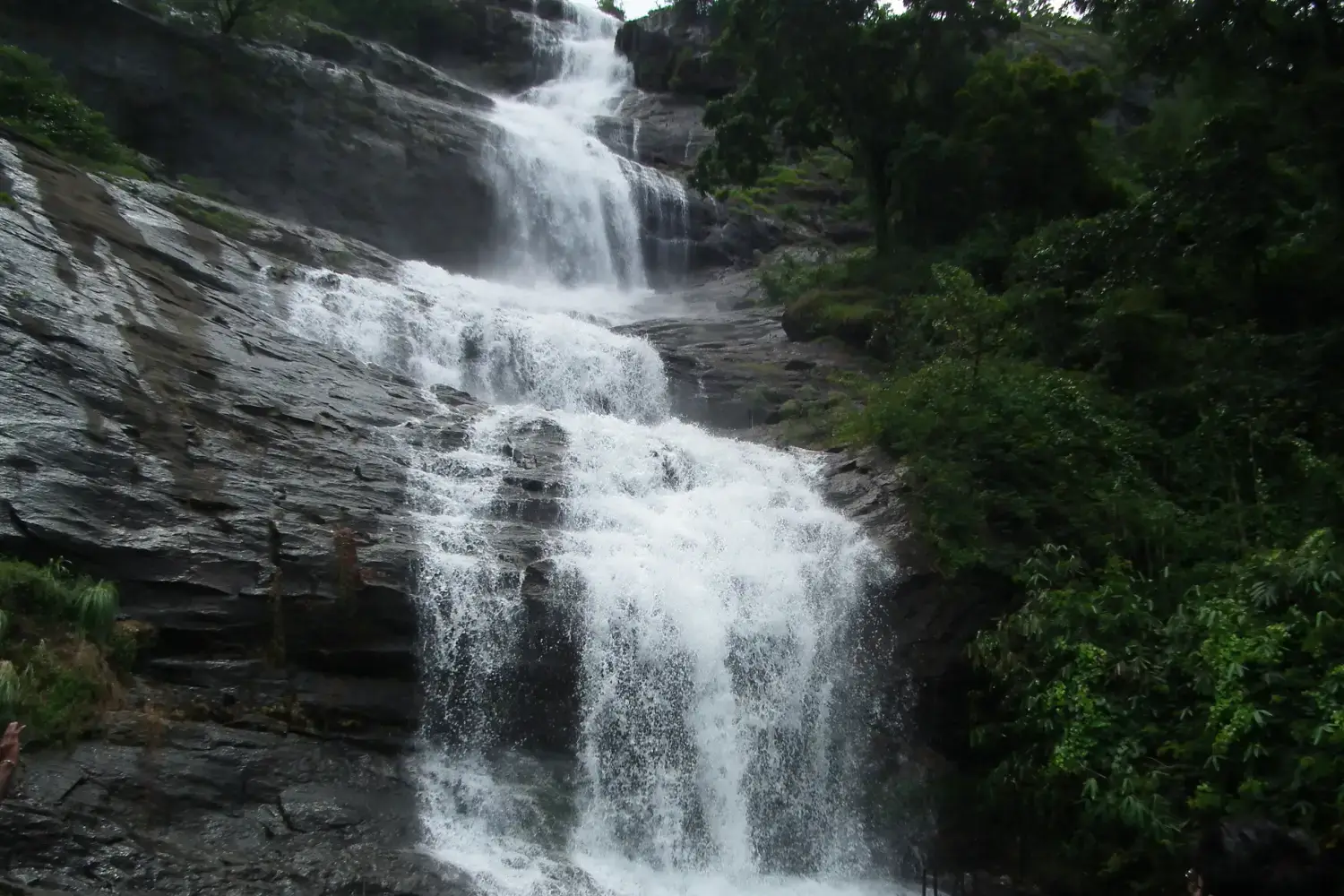 Munnar Tourism - Cheeyappara Waterfalls