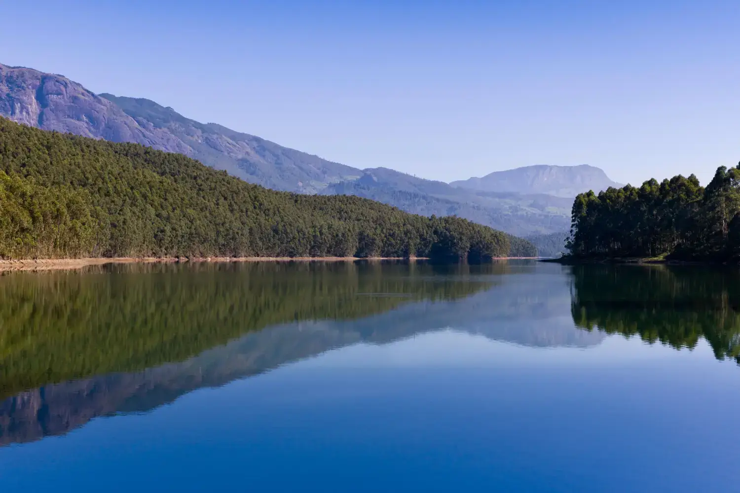 Best Time to Visit Munnar