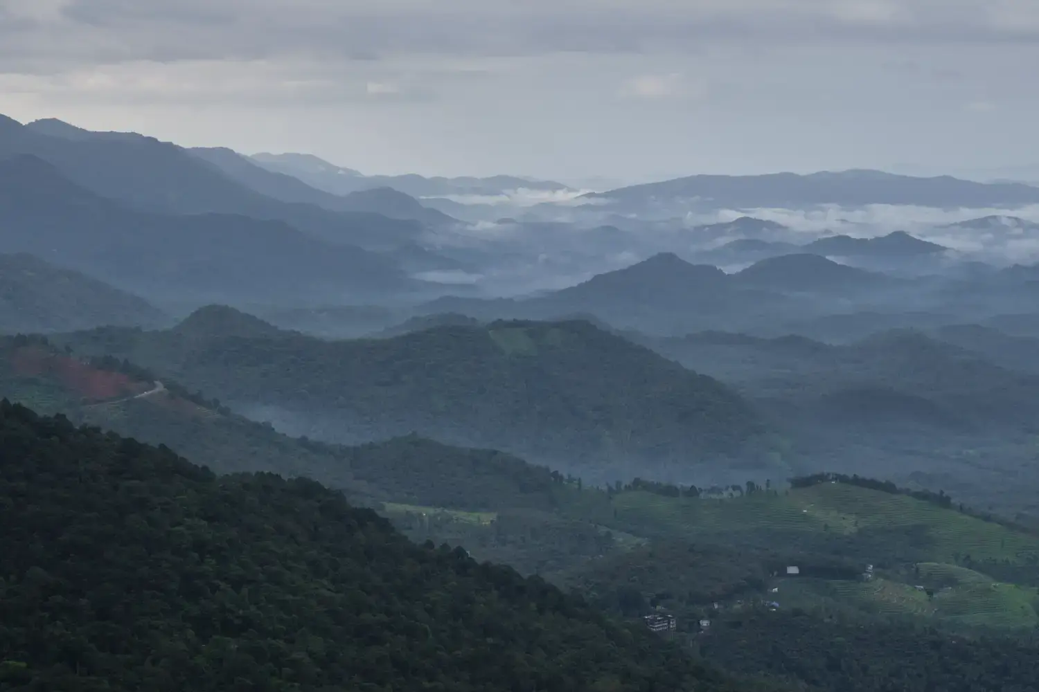 Lakkidi View Point