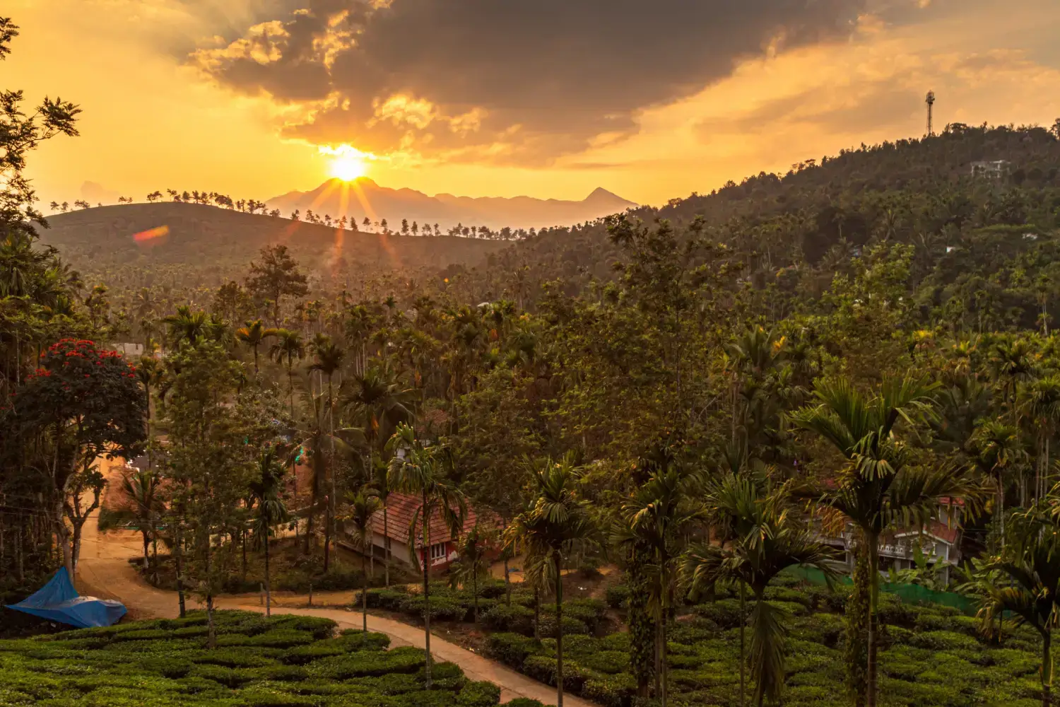 Why Visit Wayanad in Kerala?