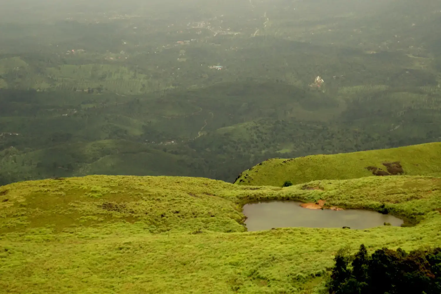 Best Time to Visit Wayanad