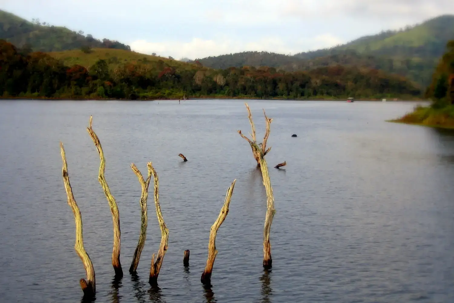 Best Time to Visit Periyar