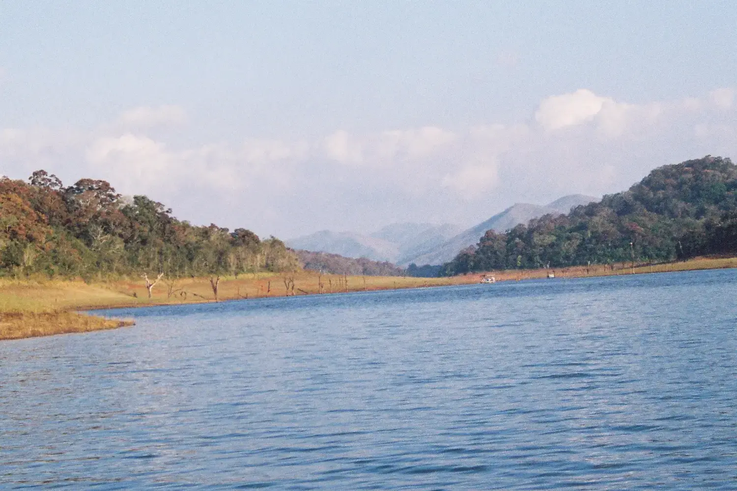 How to Reach Periyar?