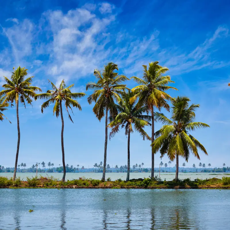 Kerala Family Tour