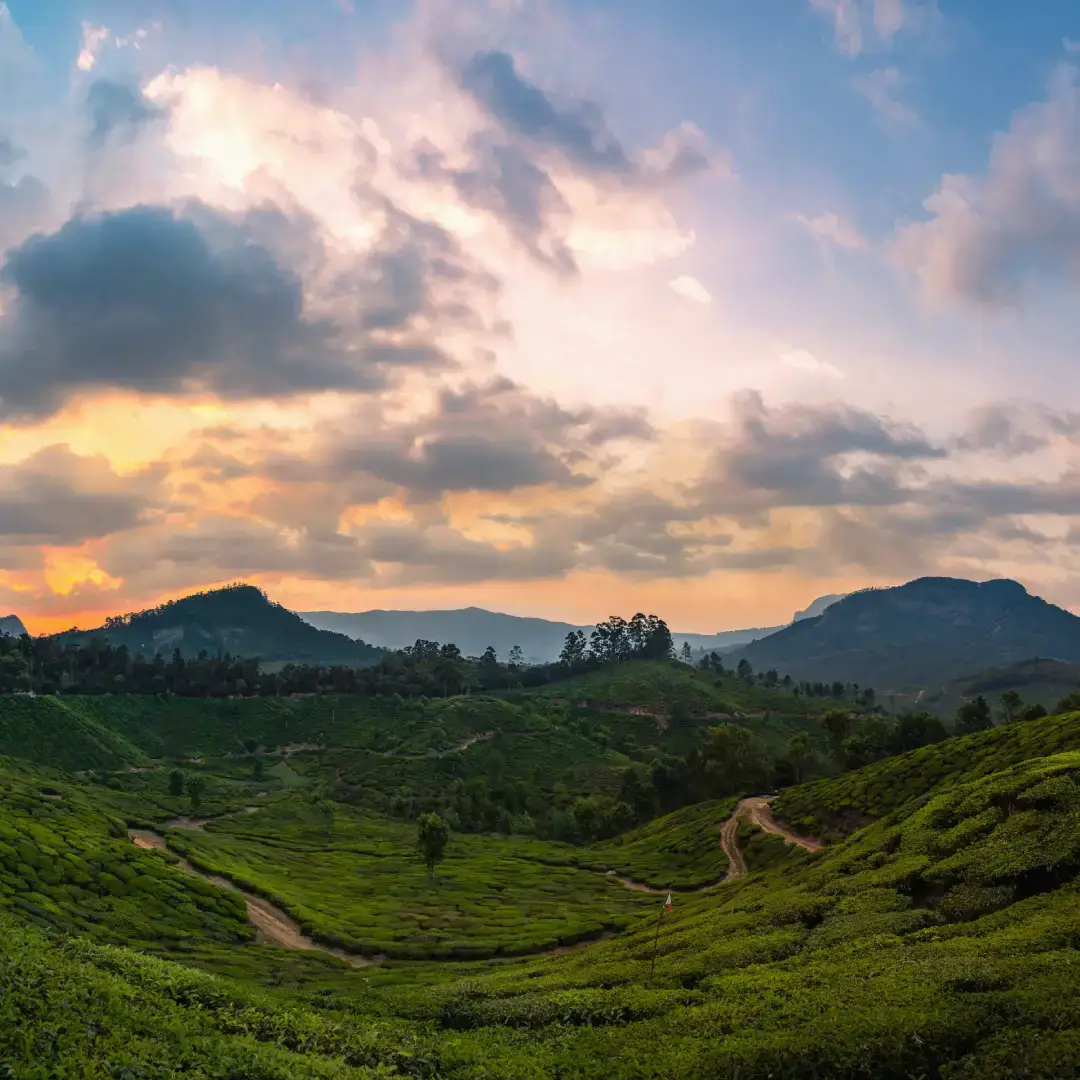 Munnar Kerala Tour Packages